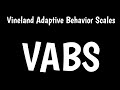 Vineland adaptive behavior scales  vabs  vineland3 