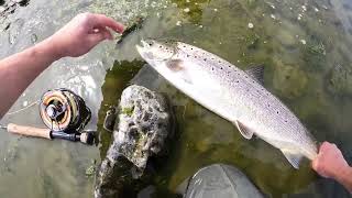 Salmon fishing - River Tweed June 2022