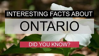 Interesting Facts About Ontario - Did You Know? by Canadian Data Insights 16 views 7 months ago 3 minutes, 36 seconds