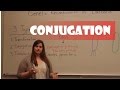 bacterial conjugation - YouTube