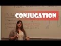 Bacterial Conjugation - YouTube