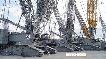 Top 10 Biggest Liebherr Crawler Cranes #liebherr