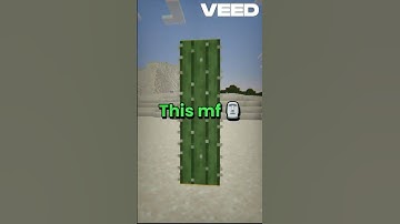 Who wins? Netherite or Cactus? (insp. @UnboundExtra) #shorts #trending #minecraft #memes #viral