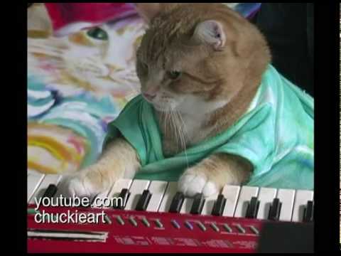 keyboard-cat!---"bento's-groove"