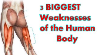 3 BIGGEST Weaknesses of the Human Body