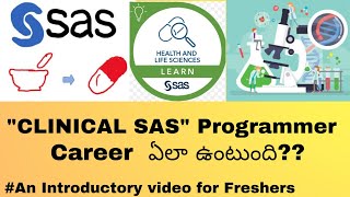 What is Clinical SAS? | How was  the Career of Clinical SAS programmer @PHARMA TIMES