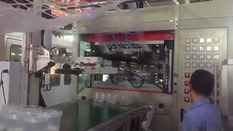 Full automatic thermoforming machine with robot stacker