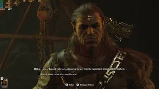 Baldur's Gate 3 Speak to Halsin Bug Explained: