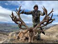 Exclusive Adventures New Zealand, hunting red stags, tahr, Chamois, fallow deer and more