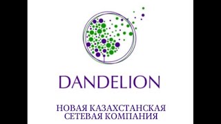 🔥Самая Первая Большая Городская Презентация🔥 2.09.2023 #Dandelionglobal #Dandelionkz