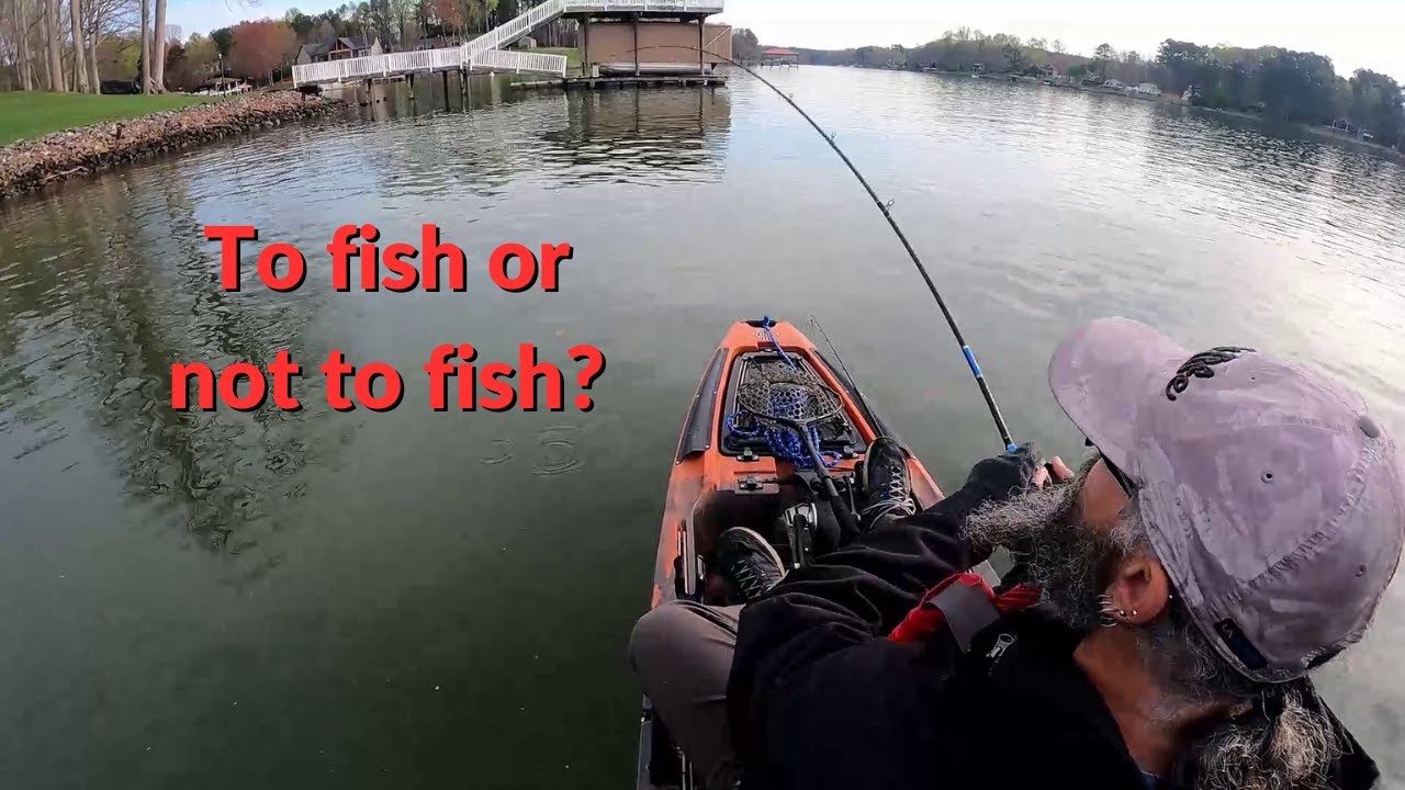 My Dilemma in Fishing Bass Tournaments