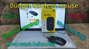 Zebronics ZEB BLANC wireless mouse; Dual Connectivity; Good for gaming? Value for money?