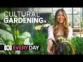 This veggie garden never runs out of food  everyday gardening  abc australia