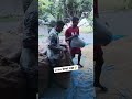 ২০০০ টাকা বস্তা ভিজা ধান #short #agriculture #kisi #viralshort #viral #village #food