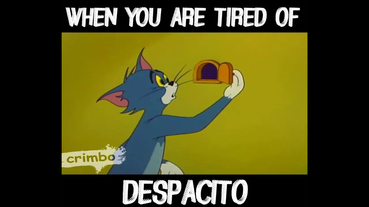 Tom And Jerry Despacito YouTube