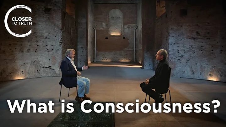 Iain McGilchrist - What is Consciousness: Data or Information?