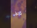 DIIV’s new live album ‘Live at Murmrr Theatre’ is out digitally now! #shoegaze #indielabel #brooklyn