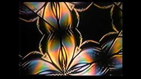 Video Feedback-2 of many