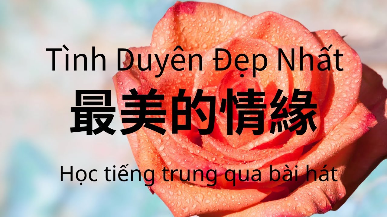 最美的情緣Tình Duyên Đẹp Nhất （魏新雨Nguỵ Tân Vũ)Học tiếng trung qua bài hát