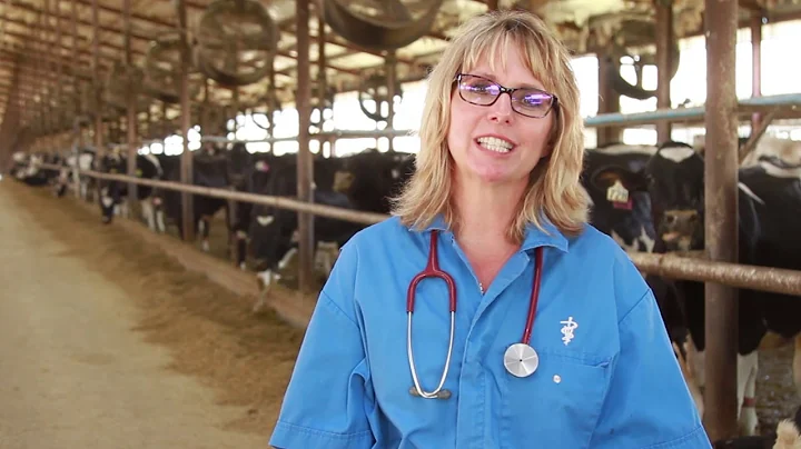 Why are Antibiotics Used to Prevent Disease