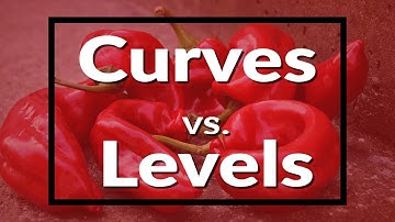 Difference between Curves and Levels in Photoshop - Graphic Design Bangla Tutorial - UY Lab