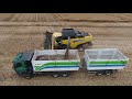 Harvest canola  2 x claas lexion 770 new holland 890 tatra phoenix sklize epky   zs dynn