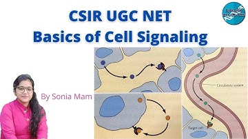 CSIR UGC NET | Basics of Cell Signaling | #BiologyAllInOne