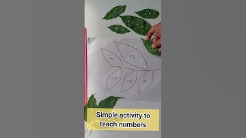 Leaf Counting Activity: Fun & Simple Math Learning with Nature #kidsactivities