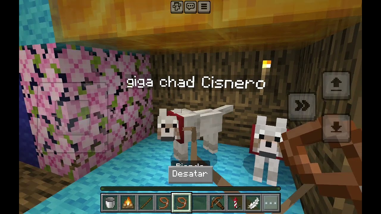 De campamento parte 2