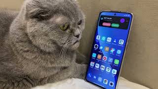 INCOMING CALL TO MY CAT PET PICKED UP THE PHONE XIAOMI 12 Resimi