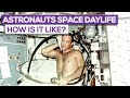 What Is The Everyday Life Of An Astronaut In Space Like?