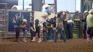 Tejas Rodeo - Mutton Busting and Calf Scramble