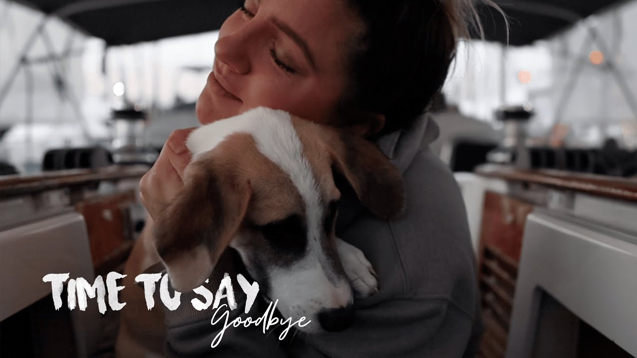 Rescue Puppy finds his forever home | Sicily | Sailing Sunday Ep. 101