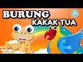 Burung kakak tua  lagu anak anak  lagu anak indonesia populer  roro  kids