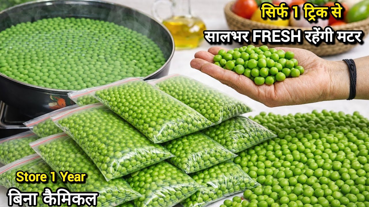 Как сохранить зеленый горошек до года без химикатов — самый простой способ. Как хранить свежий зе...