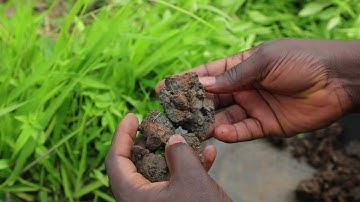 (S4A Field Observation Protocol- French) Determining Drainage Class