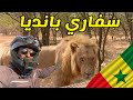 47 السنغال اول سفاري بالرحلة