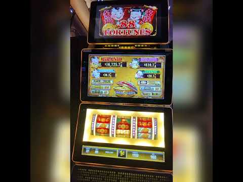 The Dog House Megaways JUEGO DE TRAGAMONEDAS EN LÍNEA CON GIROS GRATIS