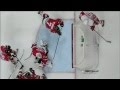 Good save by seabrook  red wings