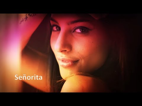 Señorita Ricardo Arjona - Letra