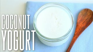 Yaourt Maison Au Lait De Coco Recette Vegan Alternatives Sans Yaourtière