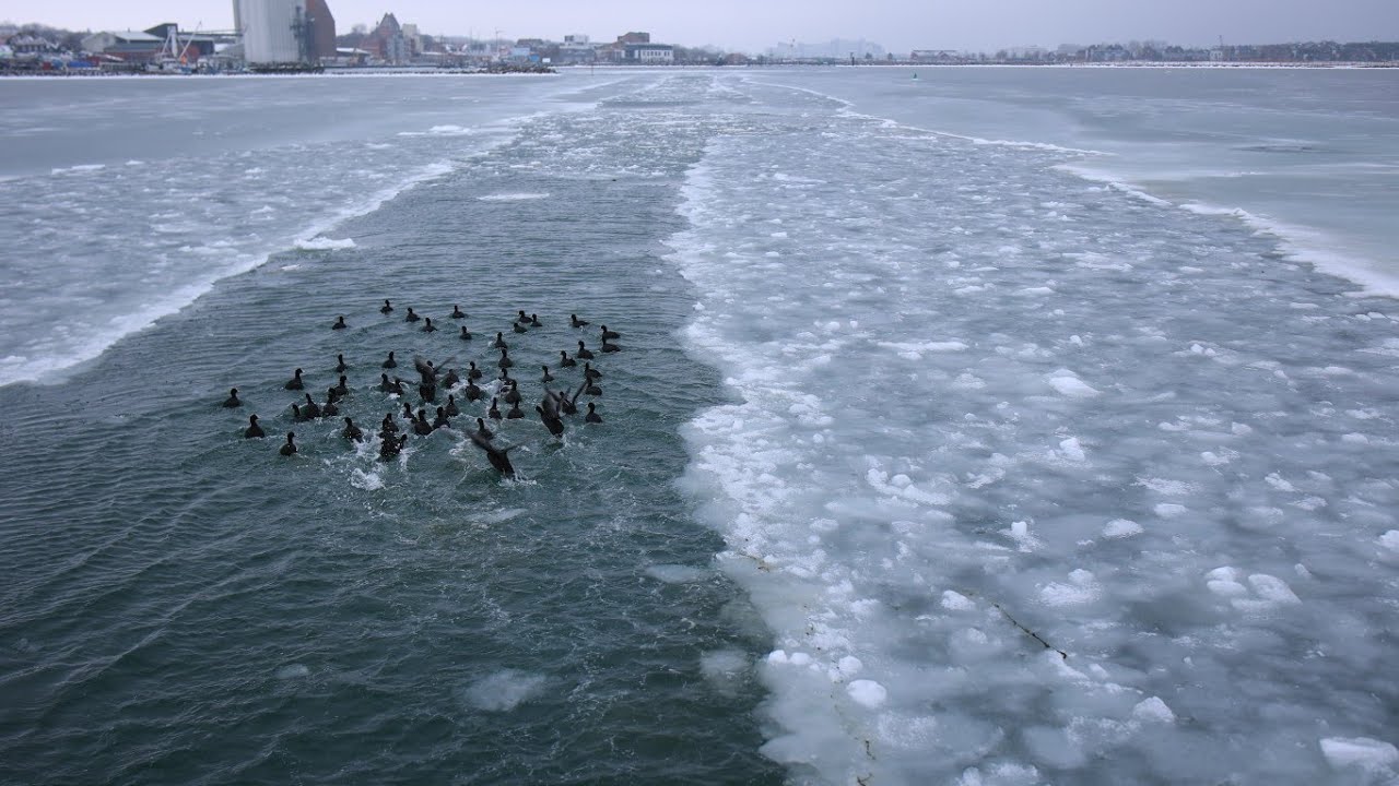Auf Eisfahrt in Heiligenhafen.Mit einem Fischkutter 