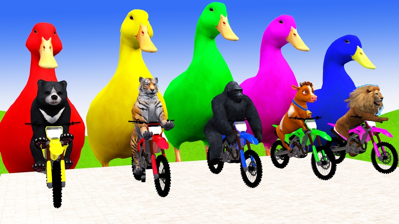 Long Slide With Cow Elephant Gorilla Hippopotamus 3d Animal Game Funny 3d Animals