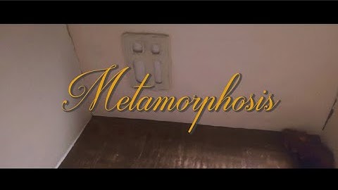METAMORPHOSIS Clay Animation