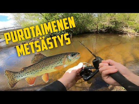 Video: Kuinka Metsästää Keväällä