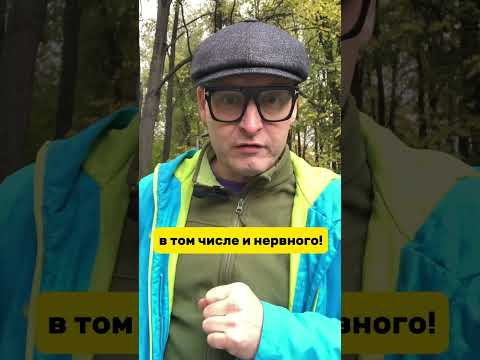 ПОЧЕМУ ВЫ ЛЕНИТЕСЬ? #нутрициолог #витамины #здоровоепитание #лишнийвес #похудение #щитовидка