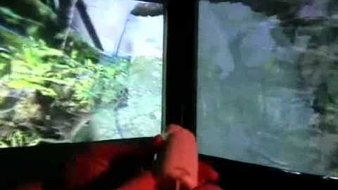 Wiimote + Immersive 3D