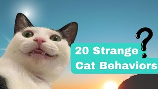 20 Odd Cats Behaviors Explained by METARERM 127 views 9 months ago 7 minutes