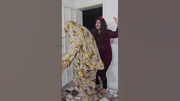 هلا بيج هلا هلا بيك هلا 