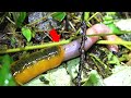 ミミズを丸呑みする謎の生物が怖すぎる...